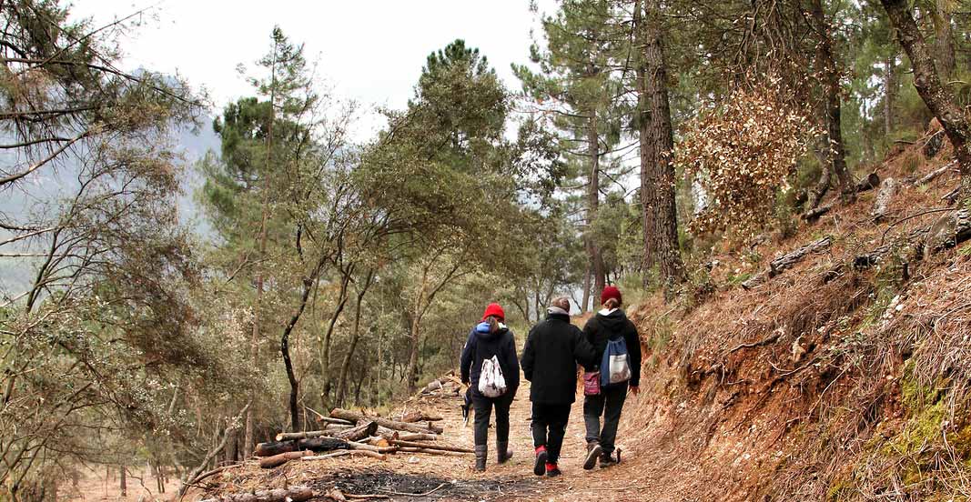 Herontdek het wandelen