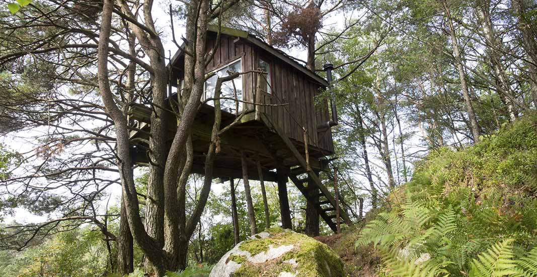 Overnachten in een boomhut